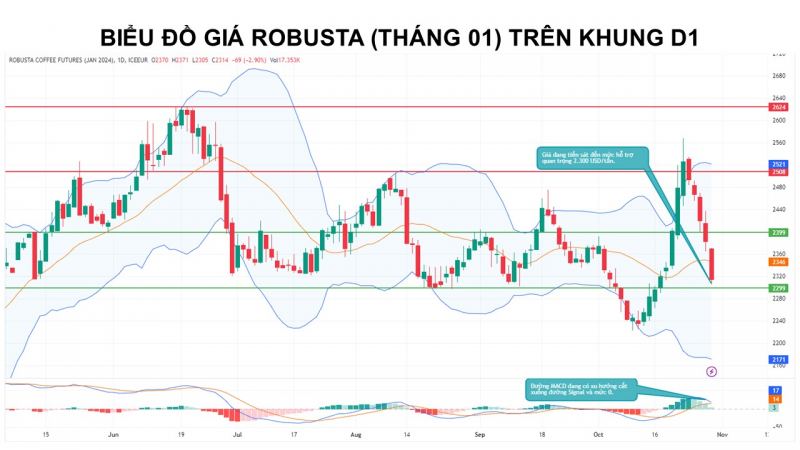 Đà giảm của giá cà phê Arabica vẫn có thể bị hạn chế bởi tồn kho thấp