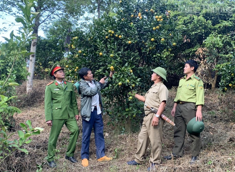 Ấn tượng hành trình giảm nghèo bền vững ở vùng cao Sơn La