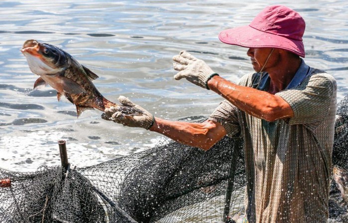 Xuất khẩu thủy sản “tấn công” vào các thị trường ngách