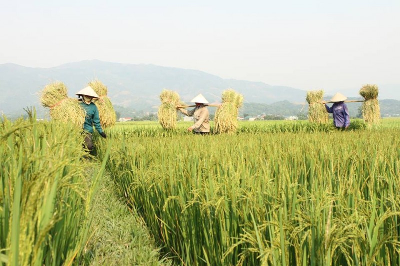 Điện Biên: Nỗ lực xúc tiến thương mại, đưa sản phẩm của đồng bào dân tộc thiểu số vươn xa