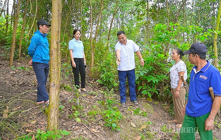 Hòa Bình Tăng khả năng tiếp cận đất đai cho đồng bào dân tộc thiểu số