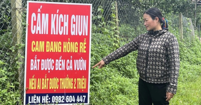 Đại biểu Quốc hội: Kích điện bắt giun cần xem là hành vi hủy hoại đất