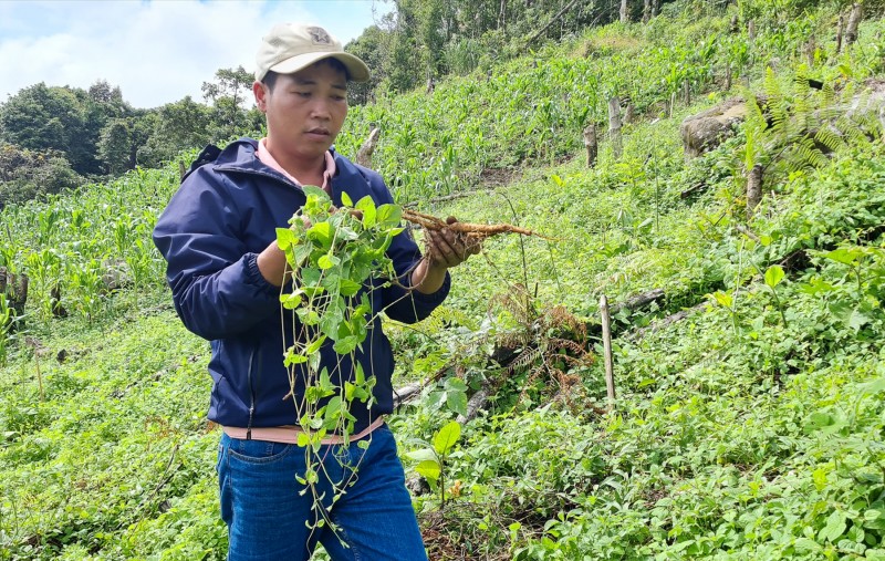 Quảng Nam muốn thay đổi mô hình thí điểm chương trình OCOP: Vì sao Bộ NN&PTNT nói không?