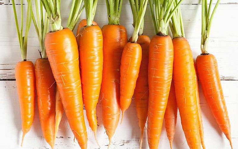 Cà rốt là một nguồn beta-carotene tuyệt vời, có thể chuyển hóa thành vitamin A. Ảnh minh họa