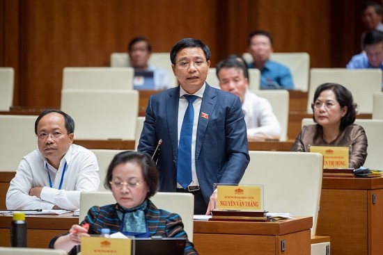 trach nhiem trinh du an dau tu khong chinh xac thuoc ve ai