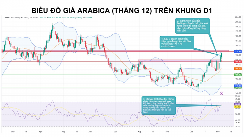 Giá cà phê Arabica vẫn còn động lượng tăng sau dữ liệu nguồn cung kém khả quan