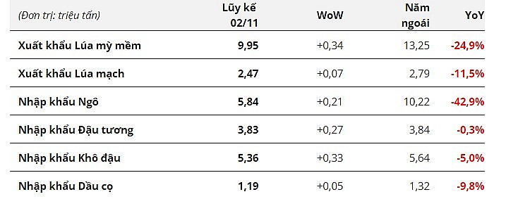 Xuất khẩu lúa mì và nhập khẩu ngô của EU tăng nhẹ