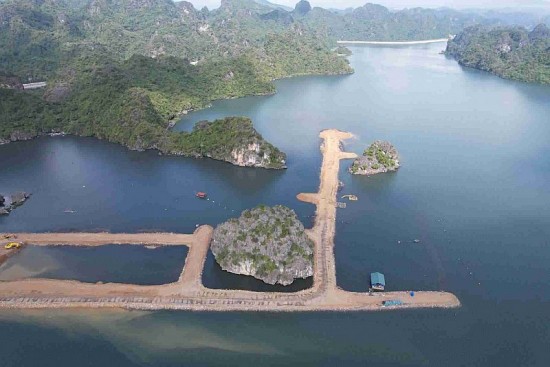lap bien o quang ninh dung hay sai
