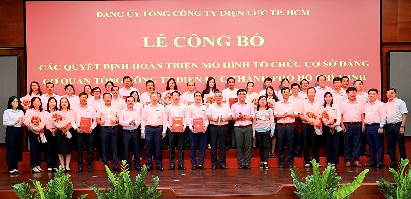 Hoàn thiện mô hình tổ chức cơ sở đảng Cơ quan Tổng công ty Điện lực TP. Hồ Chí Minh