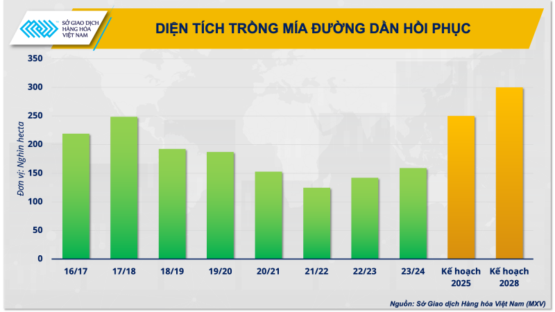 Giá đường cao lịch sử có tạo nên ‘thời điểm vàng’ cho ngành mía đường hồi phục?