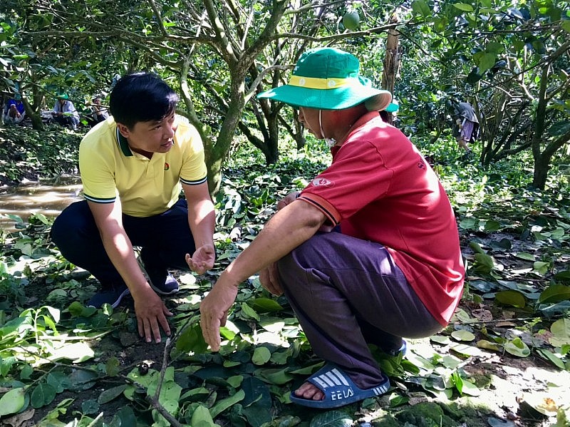 Tiêu dùng thông minh - Phân bón Cà Mau là lựa chọn hàng đầu