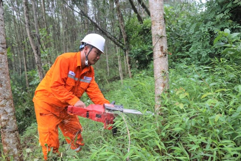 Nghệ An tăng cường đảm bảo an toàn lưới điện trong mùa mưa bão