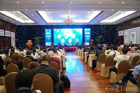 quan he viet nam hoa ky duoc nang cap doanh nghiep viet nen tim co hoi o linh vuc nao