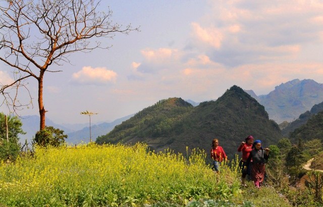 Bí kíp đi du lịch Tà Xùa từ A-Z không thể bỏ qua