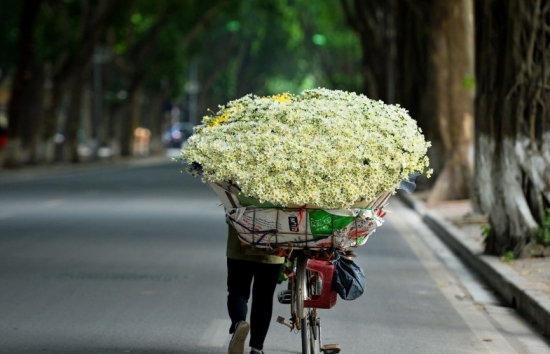 Thưởng thức mùa đông Hà Nội với những điều thú vị