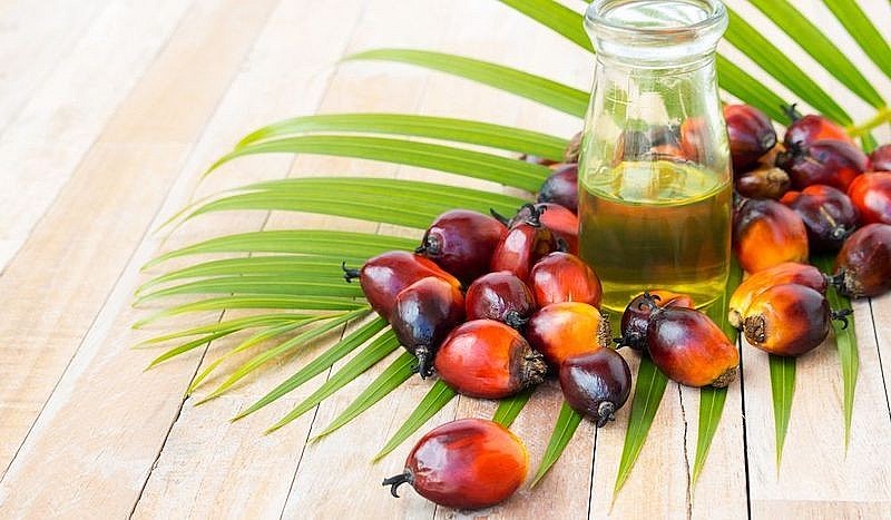 Giá dầu cọ tăng 2,71% nhờ diễn biến hồi phục của dầu đậu tương