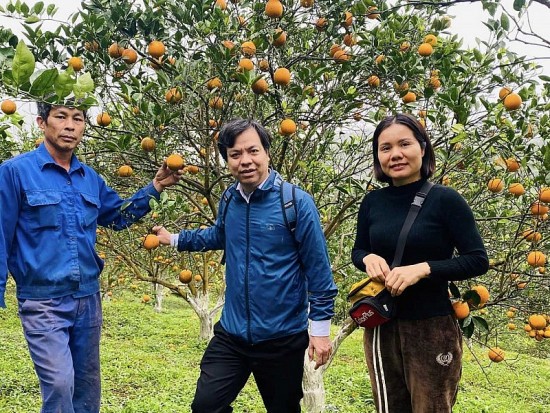 Gặt những “mùa vàng” trên đất Cao Phong