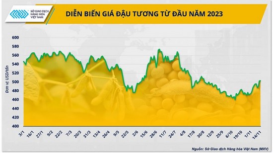 Báo cáo WASDE làm giá đậu tương biến động mạnh, doanh nghiệp cần làm gì?