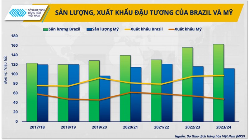 Báo cáo WASDE làm giá đậu tương biến động mạnh, doanh nghiệp cần làm gì?