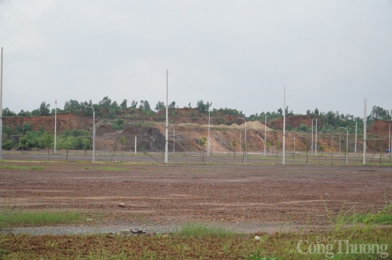 Đà Nẵng: Chuyển mục đích sử dụng 43,88 ha đất rừng trong dự án khu công nghiệp Hòa Ninh