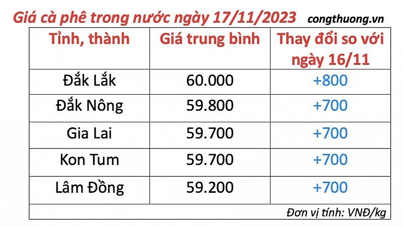 Thị trường cà phê trong nước ngày 17/11/2023