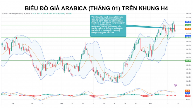 Giá cà phê Arabica có thể giảm trước tín hiệu tích cực về nguồn cung