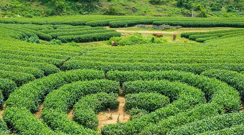 Gợi ý các địa điểm du lịch tháng 11 không thể bỏ qua Du lịch trong nước tháng 11: Những địa điểm đẹp mê hồn không thể bỏ qua