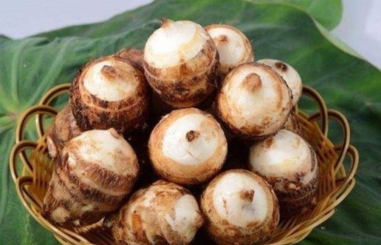 Vì sao khoai sọ được coi là 'thần dược của người nghèo'?