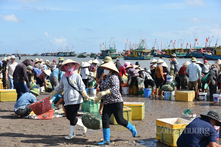 Nam Định: Sốc với giá hải sản rẻ bất ngờ tại chợ cá Giao Hải Nam Định: Sốc với giá hải sản rẻ bất ngờ tại chợ cá Giao Hải