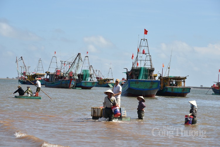 Nam Định: Sốc với giá hải sản rẻ bất ngờ tại chợ cá Giao Hải Nam Định: Sốc với giá hải sản rẻ bất ngờ tại chợ cá Giao Hải