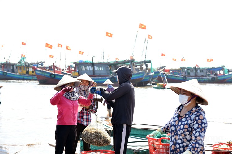 Nam Định: Sốc với giá hải sản rẻ bất ngờ tại chợ cá Giao Hải Nam Định: Sốc với giá hải sản rẻ bất ngờ tại chợ cá Giao Hải