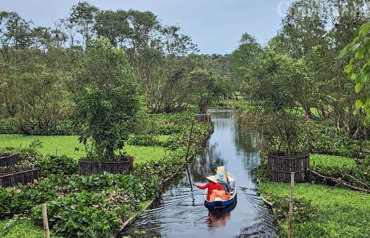 An Giang: Vẻ đẹp rừng tràm ngập nước Trà Sư