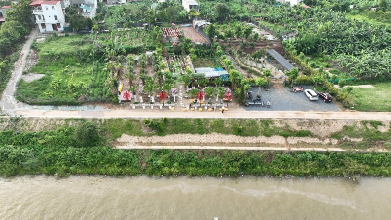 Cách quán trà tranh bờ kè không xa là khu Family cofe Cách quán trà tranh bờ kè không xa là khu Family cofe