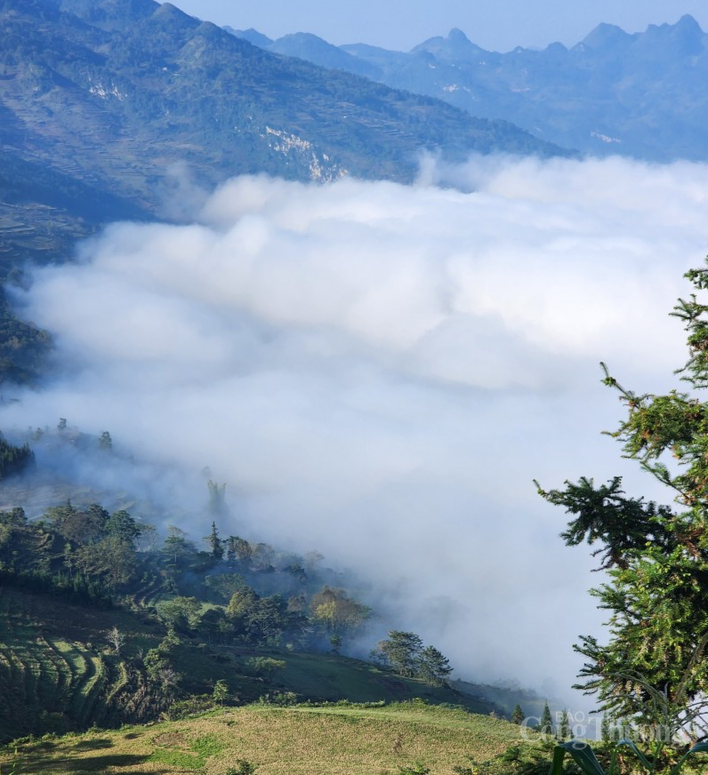 Thảo nguyên Suối Thầu - “Thụy Sĩ thu nhỏ” ở Hà Giang