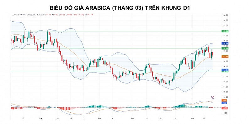 Giá cà phê Arabica còn động lượng giảm khi tồn kho tăng trở lại