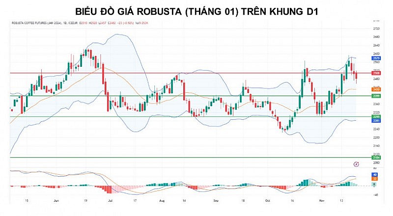 Giá cà phê Arabica còn động lượng giảm khi tồn kho tăng trở lại