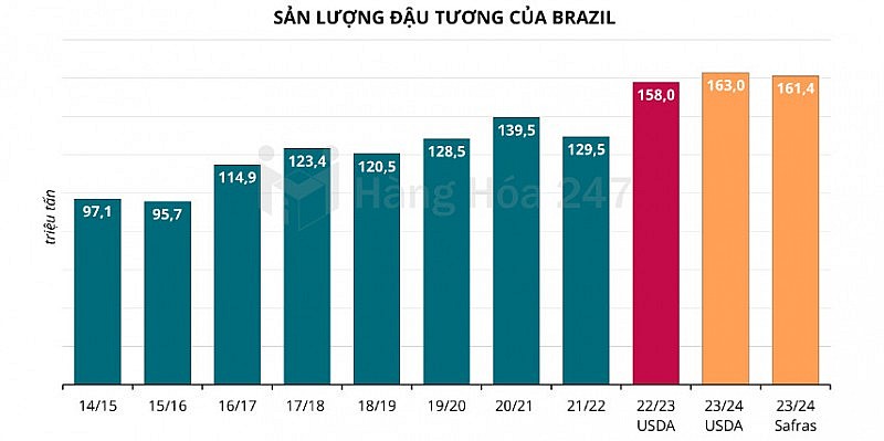 Safras cắt giảm dự báo sản lượng đậu tương Brazil xuống còn 161,4 triệu tấn