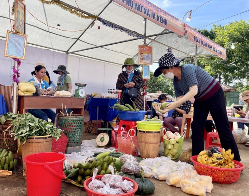 Gia Lai: Triển khai 10 dự án phát triển kinh tế - xã hội vùng đồng bào dân tộc