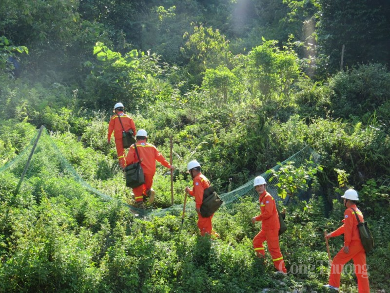 Truyền tải điện Hòa Bình: Đảm bảo cấp điện an toàn trong dịp Tết nguyên đán 2024