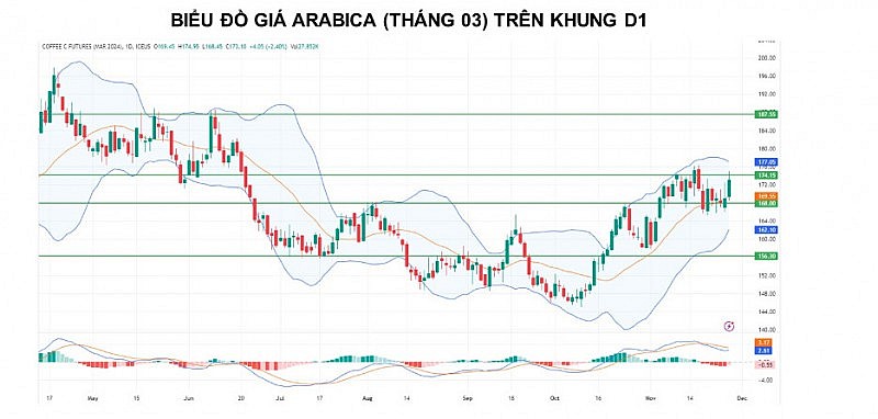 Giá cà phê Arabica có thể giảm khi nguồn cung thêm tín hiệu tích cực