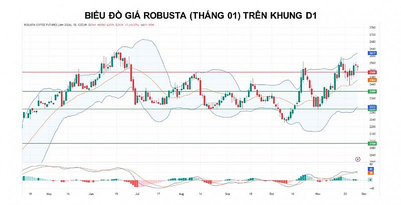 Giá cà phê Arabica có thể giảm khi nguồn cung thêm tín hiệu tích cực