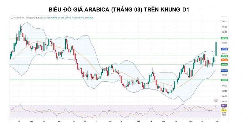 Giá cà phê Arabica vẫn còn động lượng tăng khi tồn kho mất đà