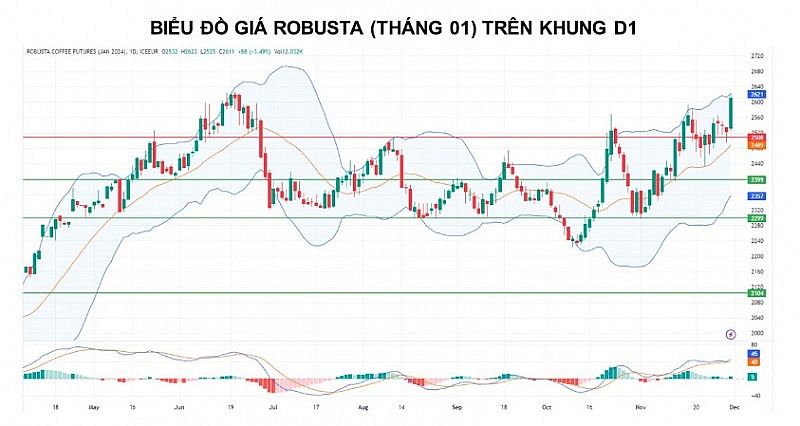 Giá cà phê Arabica vẫn còn động lượng tăng khi tồn kho mất đà