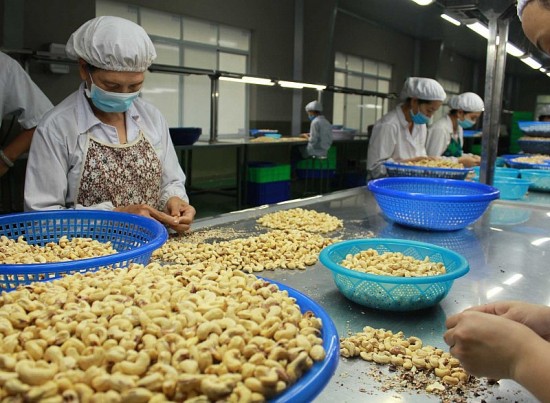 evfta giup hang viet nam co cho dung vung chac tai hungary