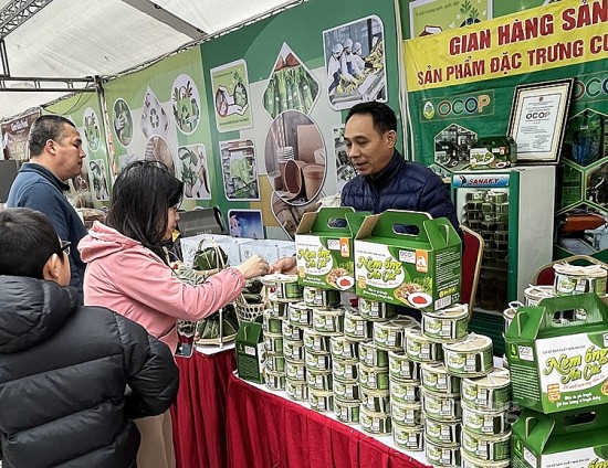 hoi cho tieu dung xanh san pham an toan thanh pho ha noi nam 2023