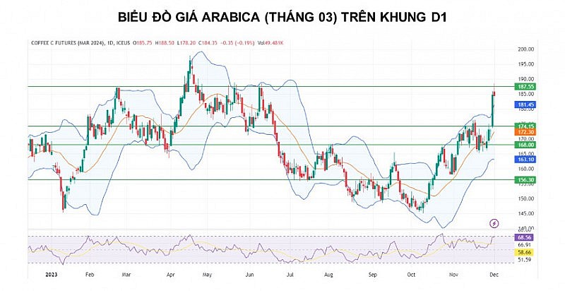 Giá cà phê Arabica vẫn còn động lượng tăng dù không quá mạnh