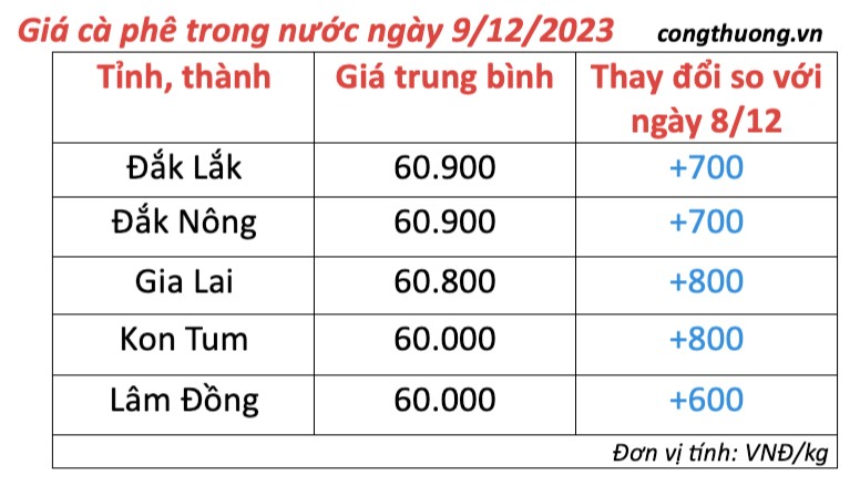 Giá cà phê hôm nay, ngày 8/12/2023: Giá cà phê trong đảo chiều tăng