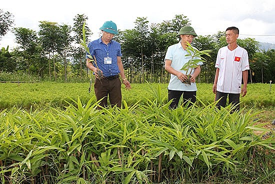 Sơn La: Khai thác tiềm năng, phát huy lợi thế vùng đồng bào dân tộc