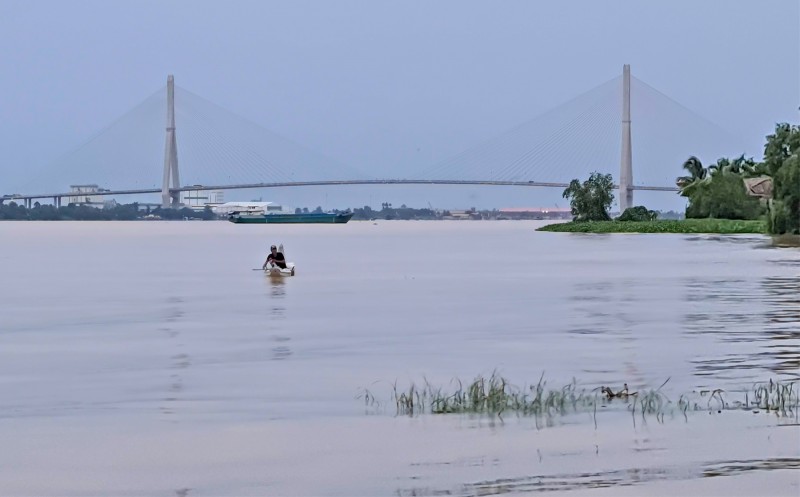 Cần Thơ: Ngư dân bắt được cá trà sóc khủng, quý hiếm trên sông Hậu