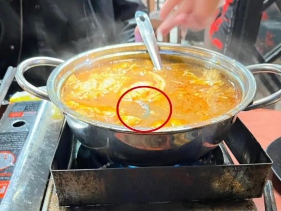 Vụ có rết trong nồi lẩu thái: Đại diện quán nói gì?